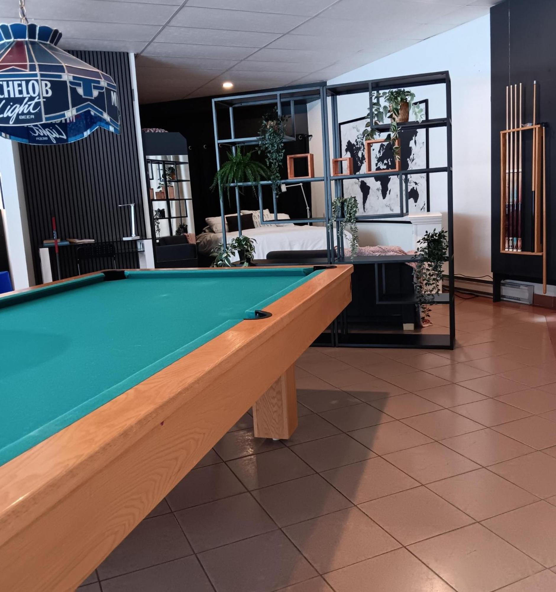Loft Avec Vue A 180 Degre Apartment Louiseville Екстериор снимка